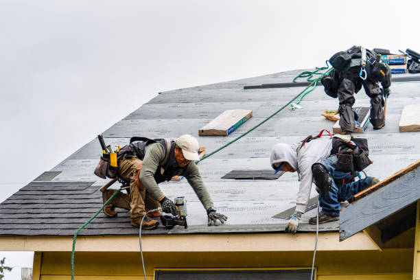 Professional Emergency Roof Repair technician working in Akron, NY